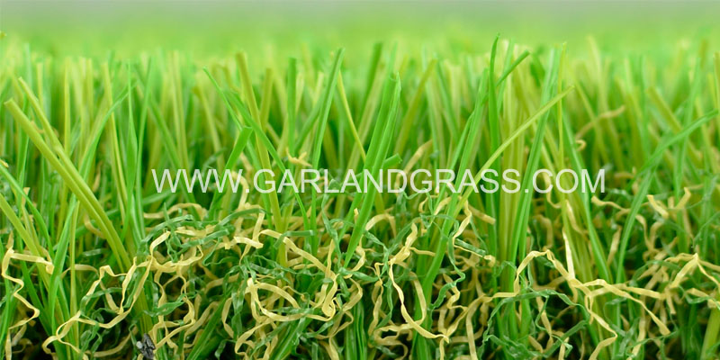 1203 C grass.jpg
